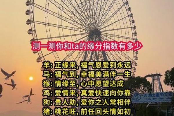 免费姓名测缘分揭秘你与TA的奇妙联系 免费姓名测缘分揭秘你与TA的奇妙联系