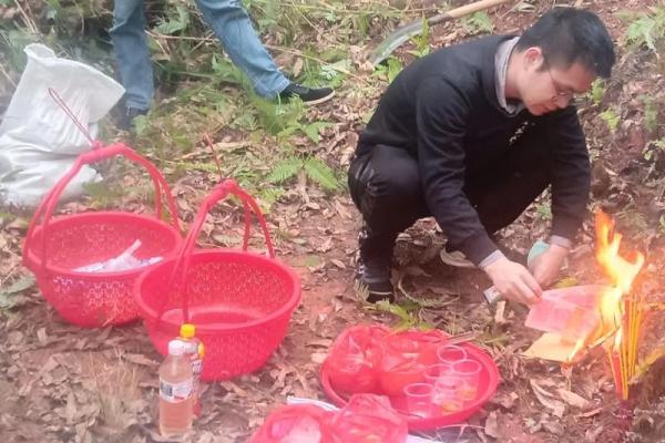 清明节5号还可以上坟不