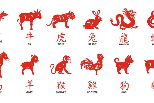 “五行山下定心猿”打一准确生肖，五行山下定心猿是什么生肖答案解释释义落实