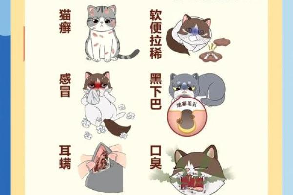 “手足无措”打一动物生肖,手忙脚乱打一动物答案解释释义落实 “手足无措”打一动物生肖,手忙脚乱打一动物答案解释释义落实