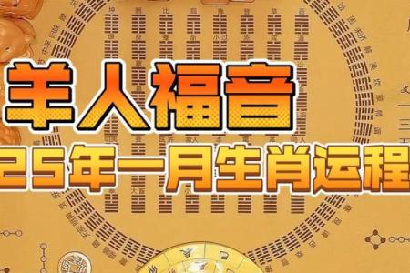 2025年2003属羊人的全年运势 2025年属羊的全年运势如何