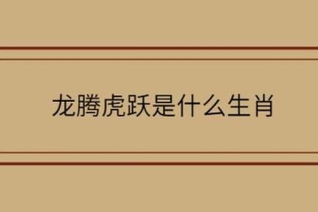 天打雷劈是什么生肖