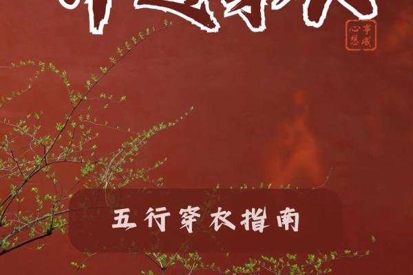 2025.4.9五行穿衣指南(五行穿衣2025.12.1.-4.) 2025.4.9五行穿衣指南(五行穿衣2025.12.1.-4.)