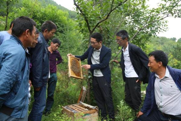 蜂出泉流是什么生肖(出蜂口流在什么位置好) 蜂出泉流是什么生肖(出蜂口流在什么位置好)