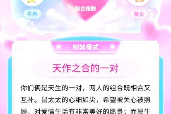 婚配 婚配指南如何找到最适合的伴侣