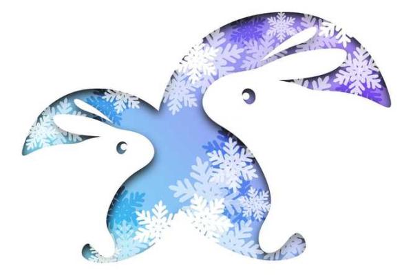 属马和属猪的适合做夫妻吗_男鸡女马属相婚配好不好