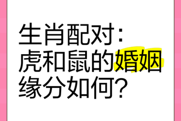 姓名缘分契合度配对_姓名缘分契合度配对揭秘名字背后的爱情密码 姓名缘分契合度配对_姓名缘分契合度配对揭秘名字背后的爱情密码