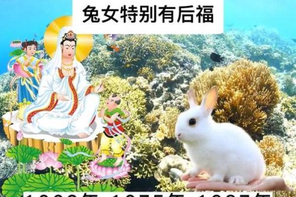 属兔的2021年开门大吉时间