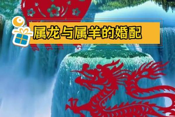 2000年属龙男与属龙女相配吗 2000年男龙和2000年女龙配吗 2000年属龙男与属龙女相配吗 2000年男龙和2000年女龙配吗