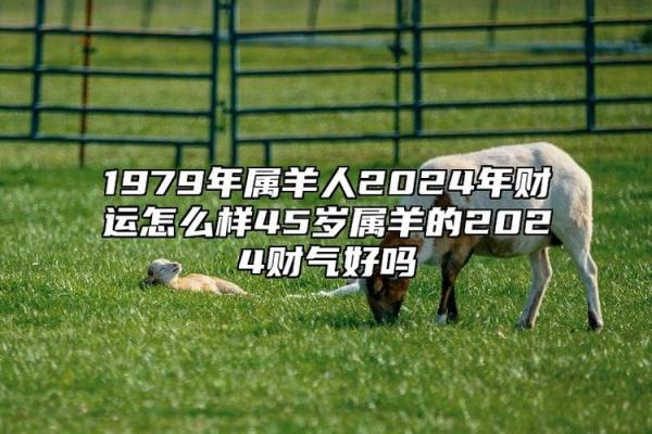 2026属羊人的全年运势_2026属羊人全年运势详解财运事业爱情全面解析 2026属羊人的全年运势_2026属羊人全年运势详解财运事业爱情全面解析
