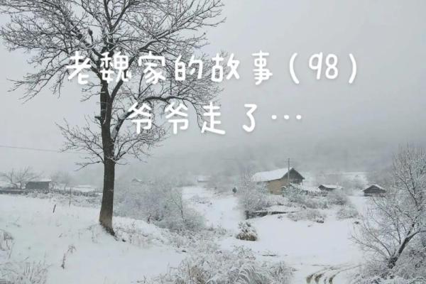 “奄奄一息”打一准确生肖，奄奄一息打一准确生肖答案解释释义落实