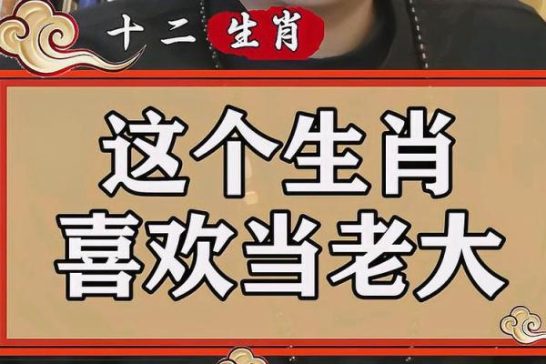 一出头地定当强是什么生肖(一出头地是什么意思)