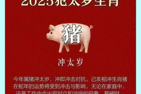 75年男兔2025年运势完整版_2025年1983猪男全年运势如何 75年男兔2025年运势完整版_2025年1983猪男全年运势如何
