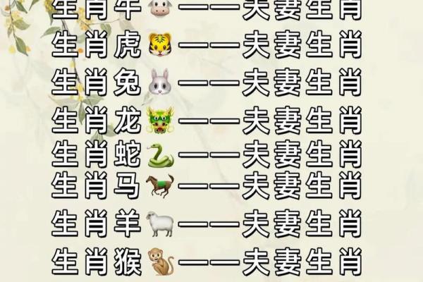 生肖属兔的最佳配偶是什么 生肖属兔的人最佳的婚配属相是谁