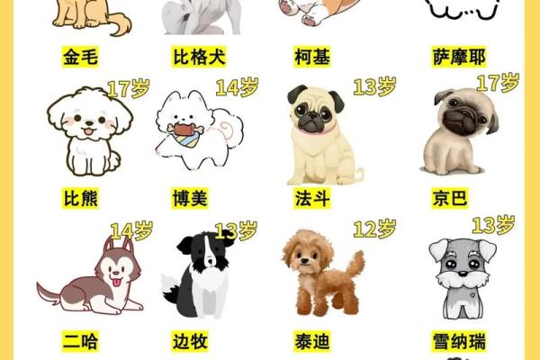 属狗今年几岁了 属狗今年几岁了