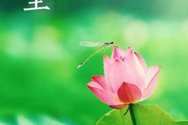 2021年夏至是几点几分