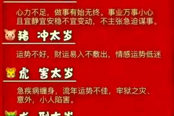 农历2025年五行属什么