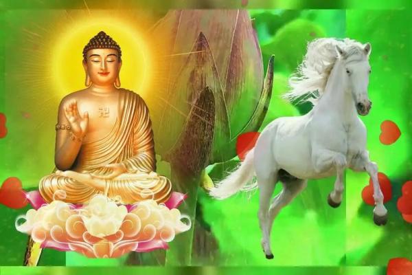 2002年属马的男生适合什么时候结婚_2002年属马男最佳结婚年龄解析与年份建议 2002年属马的男生适合什么时候结婚_2002年属马男最佳结婚年龄解析与年份建议