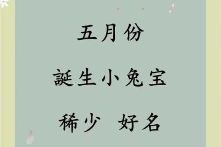 属兔的5月份哪个日期搬家好(属兔的5月份哪个日期搬家好呢)