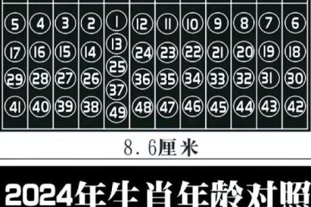 两雄相争猜最佳生肖