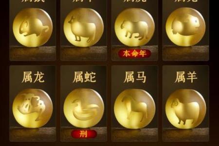 盘居山林修内功指什么生肖