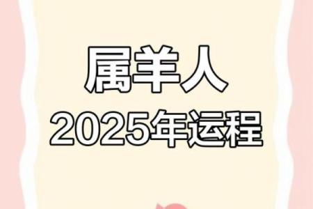 七九年羊2025年运势_91年属羊人2025年全年运势详解