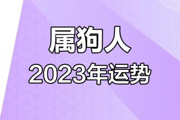 2025年属狗人高考运势_2023年属狗的高考运势 2025年属狗人高考运势_2023年属狗的高考运势
