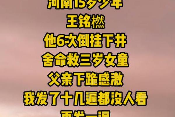 自古英雄出少年是什么生肖(自古英雄出少年是什么生肖正确答案)