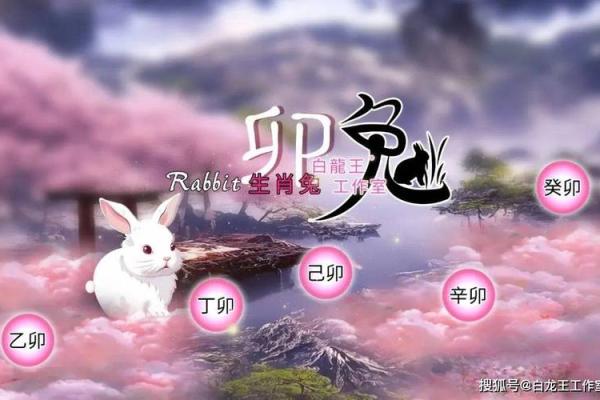 兔年2025年的运势怎么样_2025年兔年运势解析财运事业爱情全预测