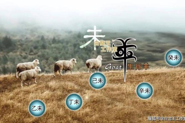 2025年属羊的女人的全年运势 2025年属羊女人全年运势解析财运事业感情全揭秘