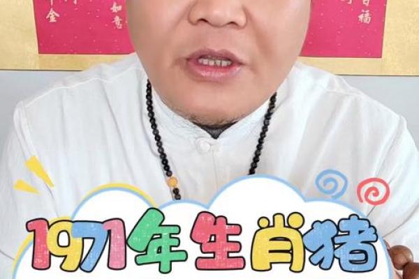 1983年属猪男2025年运势详解财运事业感情全解析 1983年属猪男2025年运势详解财运事业感情全解析