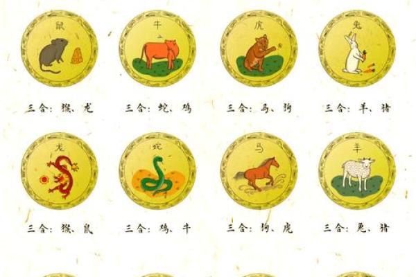 不三不四是什么生肖(四顺三上十也行是什么生肖)