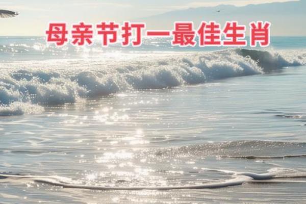 形影不离是什么生肖