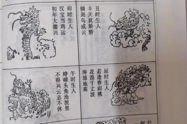 1976年属龙的五行属什么_1976年属龙者112月五行属性全解析命理奥秘大揭晓