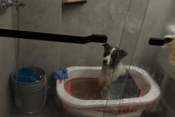 初一可以洗澡嘛吗 初一可以洗澡嘛吗