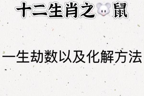 72年属鼠今年运势每月