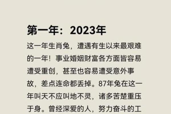 属兔2025年的运势及运程每月运气_63年的兔25年财运如何