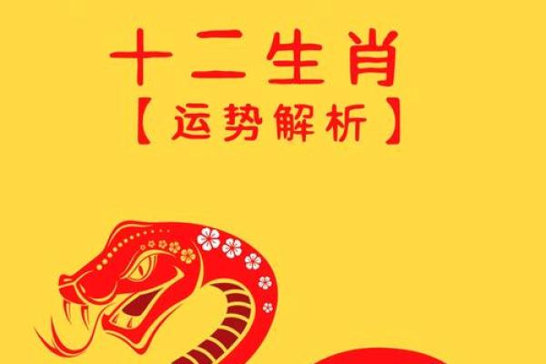 2025属鼠人全年运势
