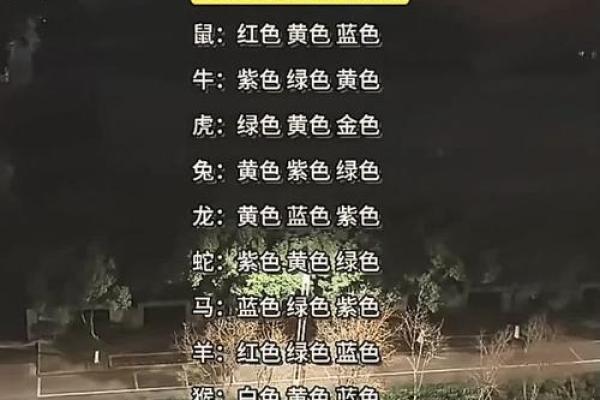 2025年属狗幸运色_1999年生肖兔终身幸运色