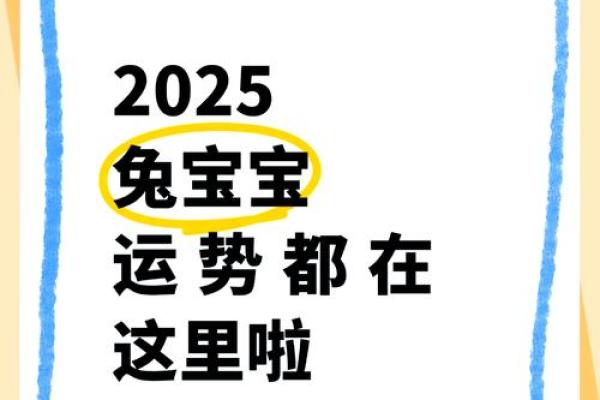 2025年属兔的运气_2025年属兔运势解析财运事业感情全面预测 2025年属兔的运气_2025年属兔运势解析财运事业感情全面预测