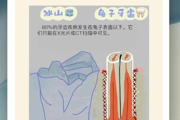 “咬紧牙根”打一生肖是什么，咬紧牙根是什么生肖答案解释释义落实