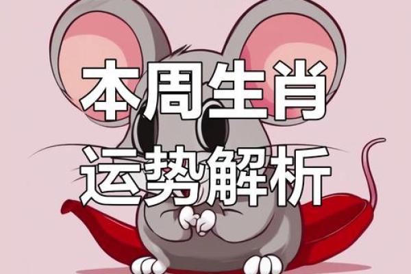 84年属鼠的今日运势查询