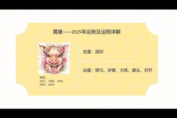2025年属猪人幸运色揭秘助你运势飙升的秘诀 2025年属猪人幸运色揭秘助你运势飙升的秘诀