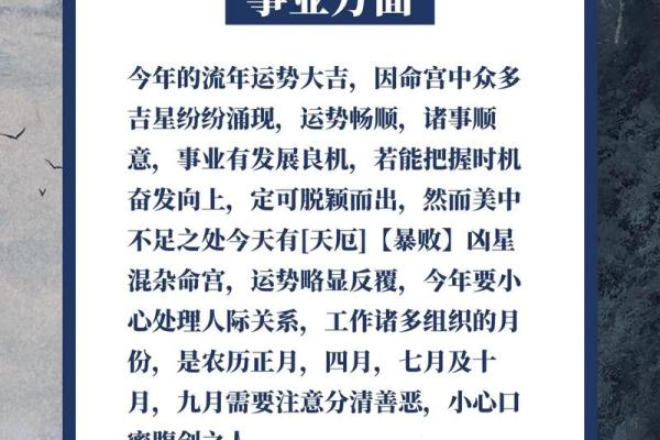 属猪人2025全年运势及运程 2025年属猪人全年运势详解运程大揭秘 属猪人2025全年运势及运程 2025年属猪人全年运势详解运程大揭秘