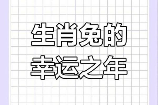 2024属兔人的全年运势如何_2024属兔人的全年运势如何1987 2024属兔人的全年运势如何_2024属兔人的全年运势如何1987