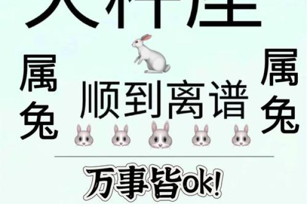 2024属兔人的全年运势如何_2024属兔人的全年运势如何1987 2024属兔人的全年运势如何_2024属兔人的全年运势如何1987