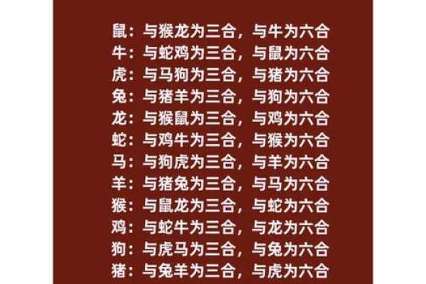 属狗男和属虎女婚姻相配吗解析生肖配对奥秘