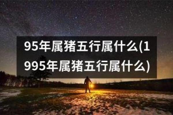 95年属啥 95年属啥