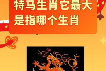 帝王将相开过什么生肖