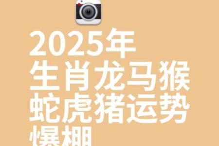 2025年属龙的运势和财运怎么样_2025年属龙人全年运势与财运解析逐月运程详解